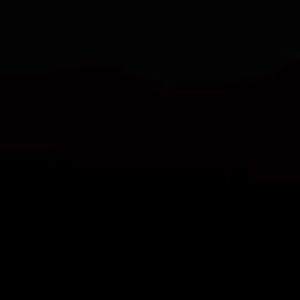 Meet your Posher, Bella